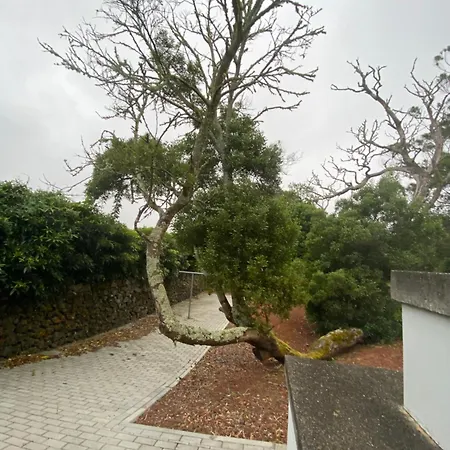Villa Casa Azul Terceira Island Azores Fonte do Bustardo