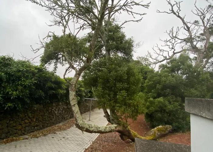 빌라 Casa Azul Terceira Island Azores Fonte do Bustardo