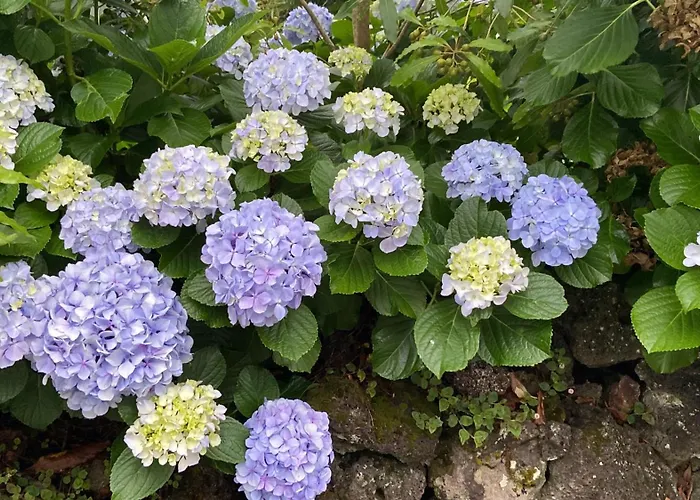 Casa Azul Terceira Island Azores * Fonte do Bustardo